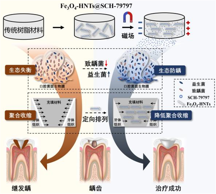 2抗菌树脂.jpg